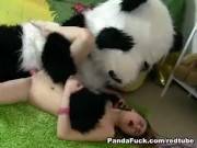 freche-madchen-panda-fur-das-ewige-leben-gefickt